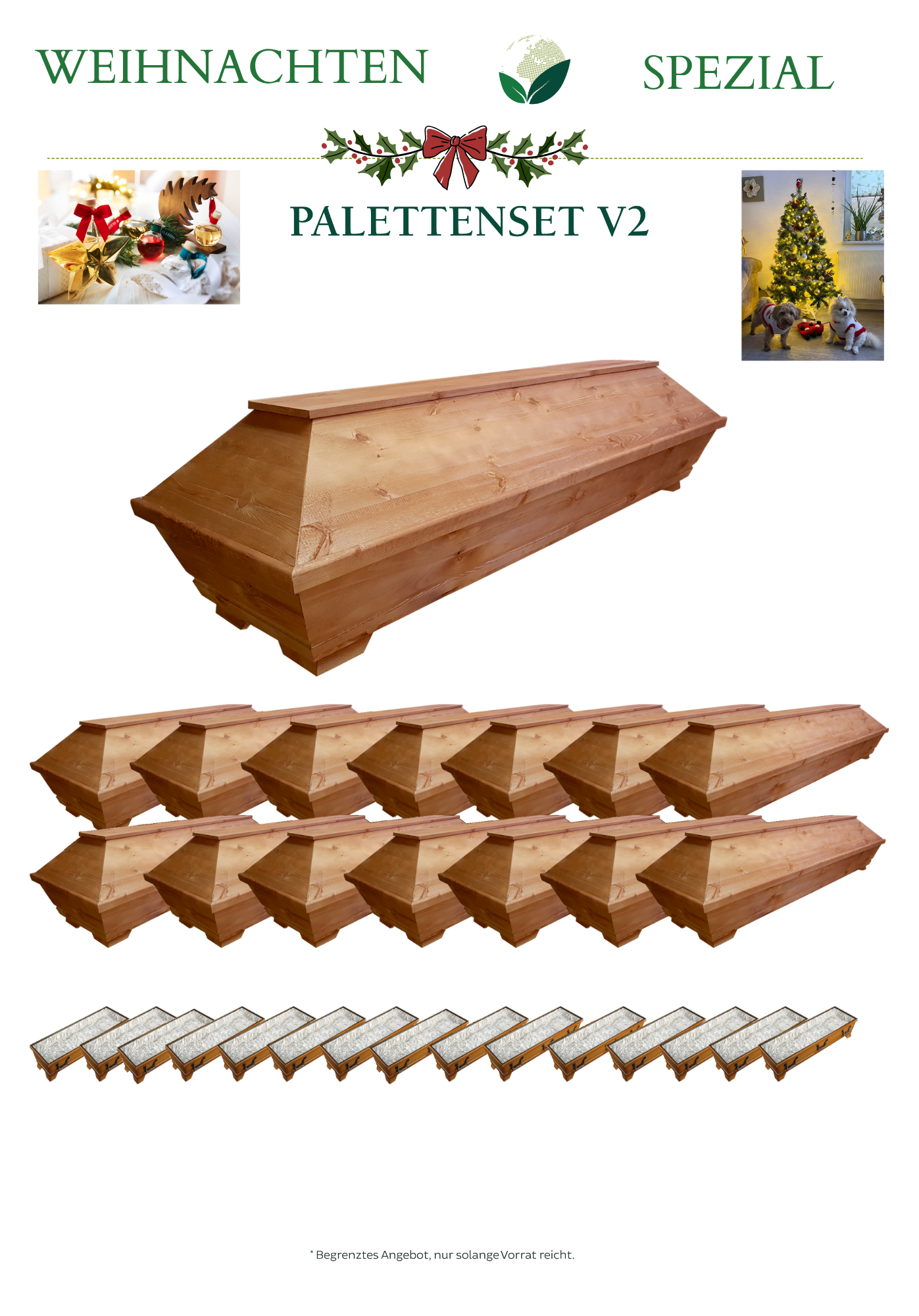 Palettenset V2 AUS