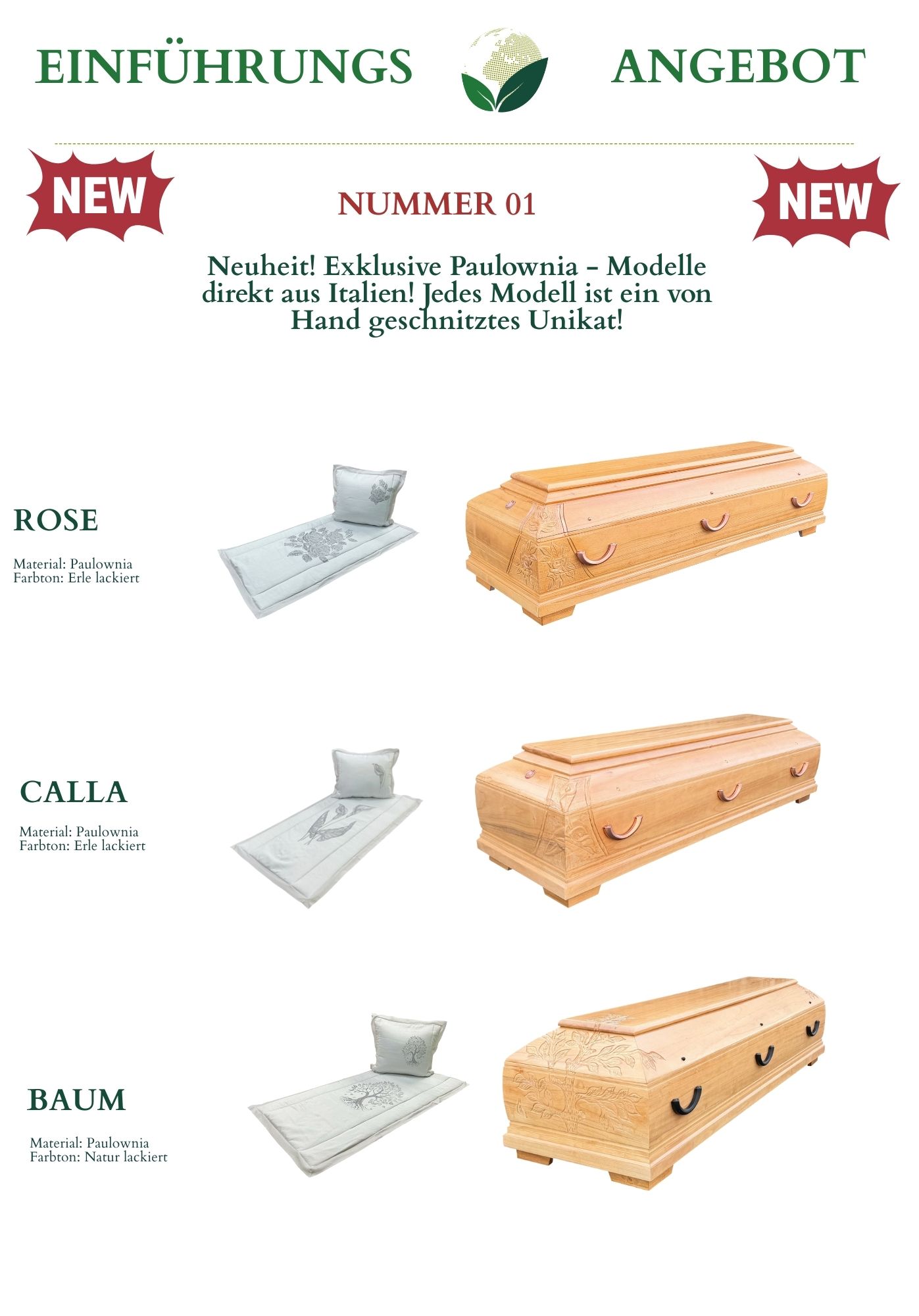 Einführungs Angebot Paulownia